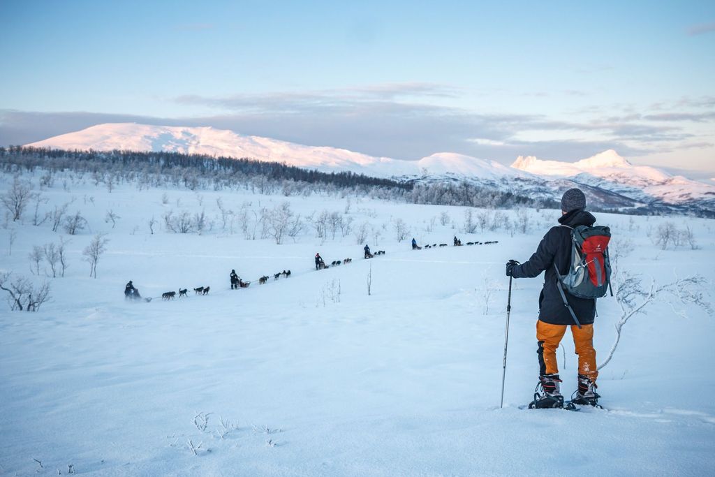 Von Tromsø aus: Geführte Husky-Schneeschuhwanderung und Besuch des Husky-Camps
