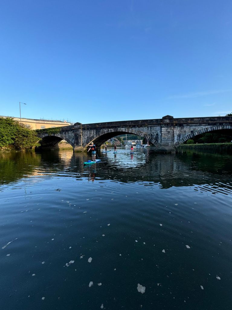 Totnes: Paddleboard-Abenteuer auf dem Fluss Dart
