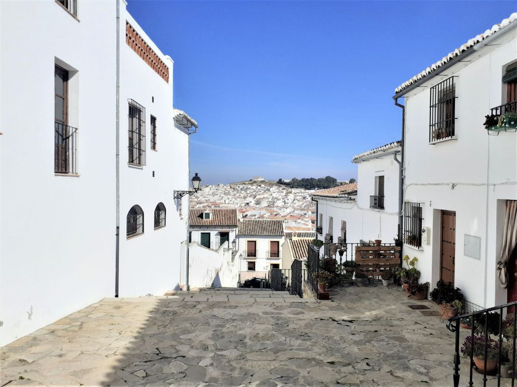 Costa del Sol: Private Tour nach Antequera