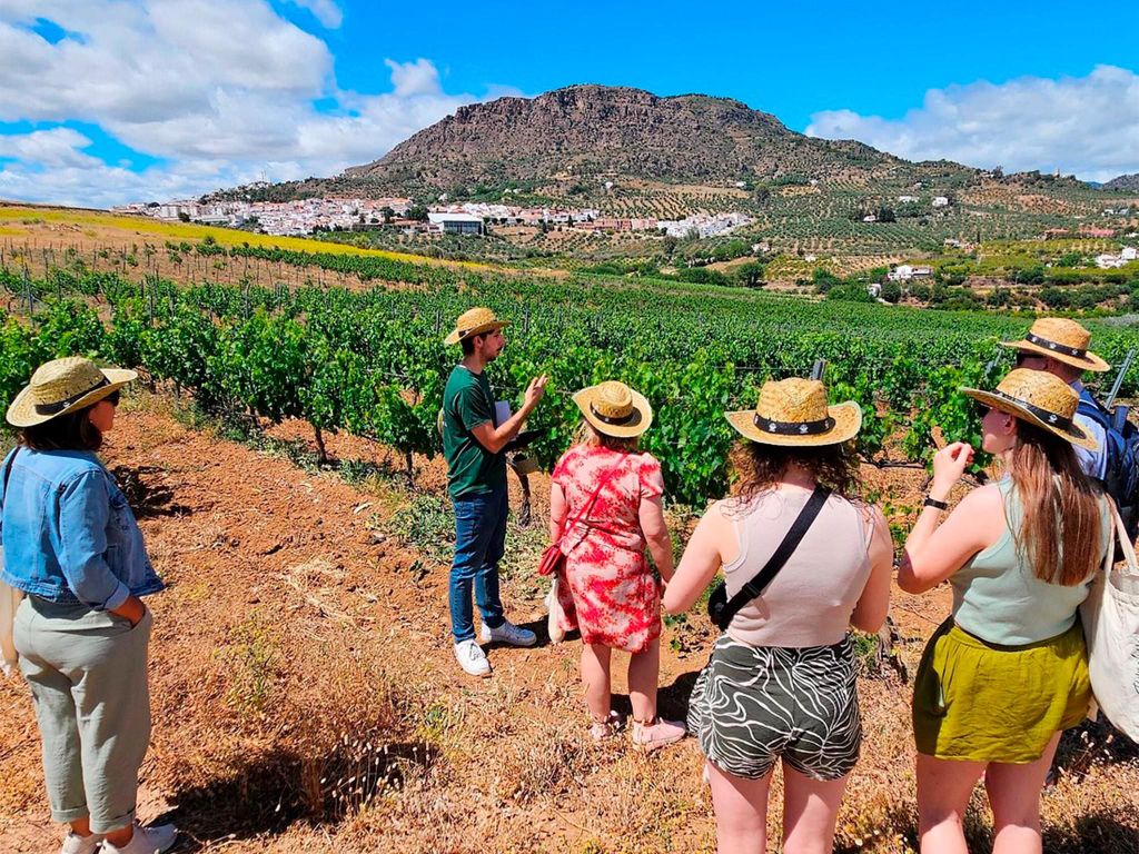 Malaga: Weißes Dorf, Weinberg und Weinverkostung Wein Tour