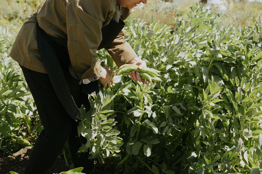 Noto: Highlights Erlebnistour Kochen vom Bauernhof bis zum Teller