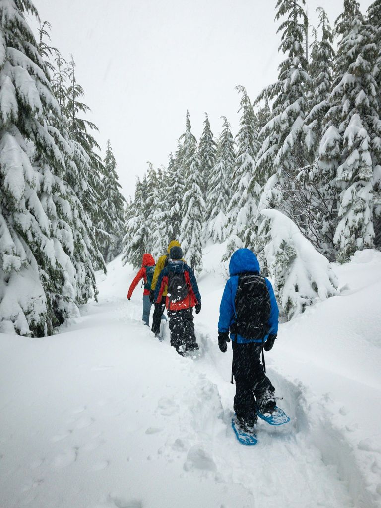 Chamonix: Schneeschuhwandern unter den Sternen mit privatem Guide