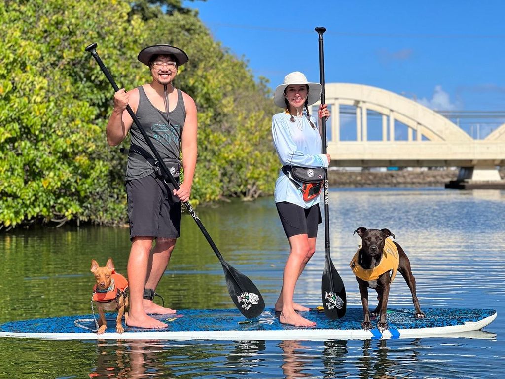 Oahu: SUPDog Experience - Paddle Board mit Rettungshunden