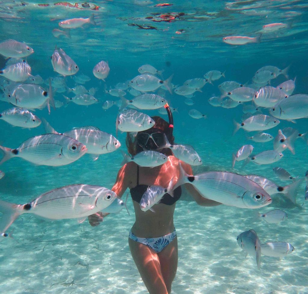 Calvi: Schnorchelausflug mit dem Boot am Rande des Naturschutzgebiets