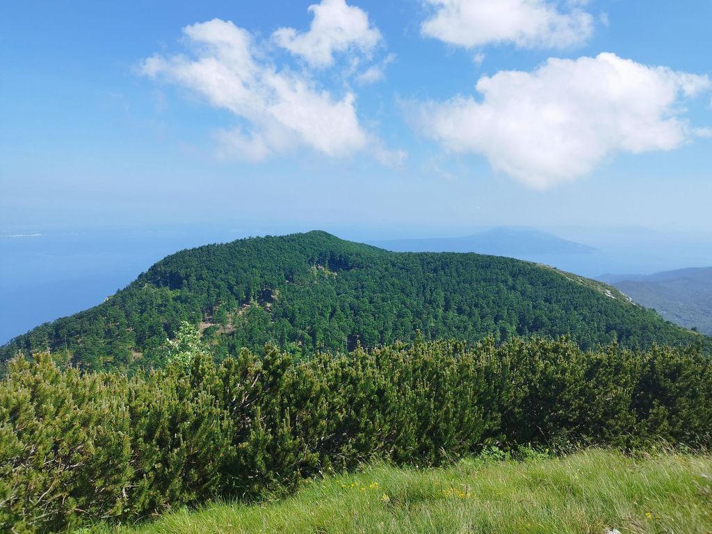 Private Wander- oder Lauftour im Naturpark Učka