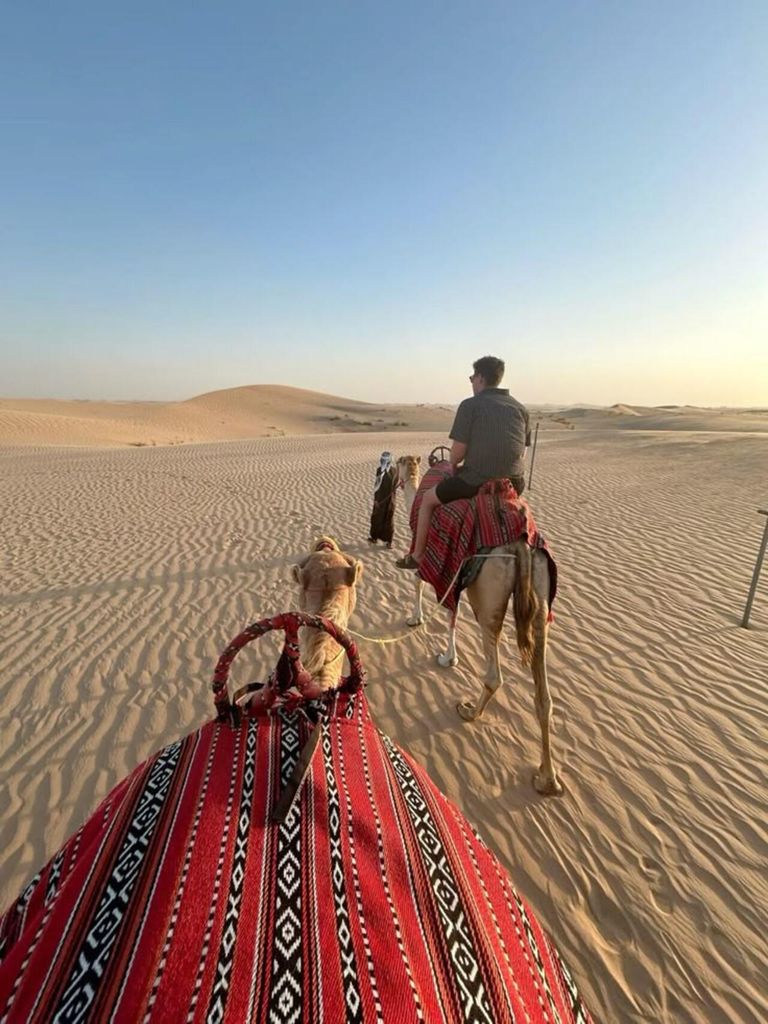 Sur: Städtetour mit Dau-Fabrik und Schildkrötenreservat