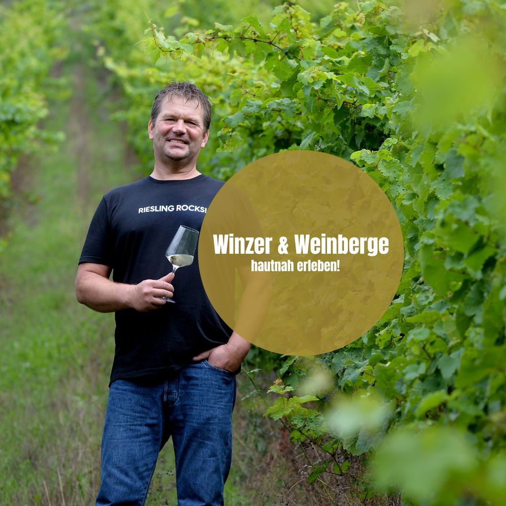 Pommern: Weinwanderung durch die Weinberge mit Verkostung