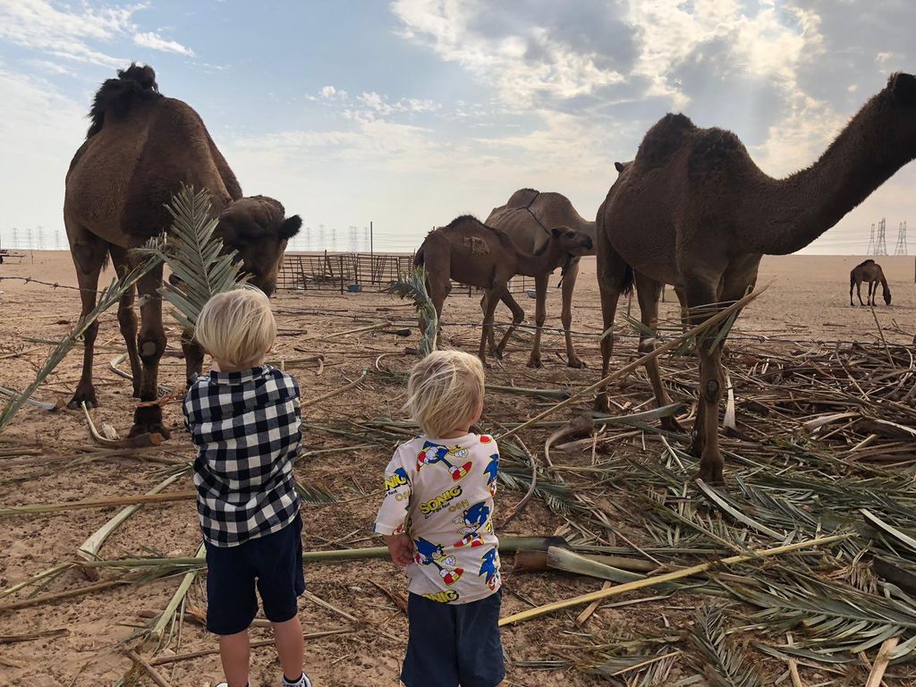 Von Kuwait-Stadt: Premium-Tagestour mit Sightseeing