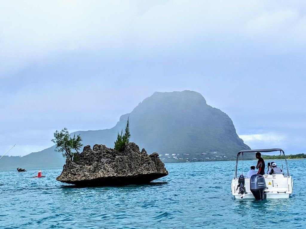 Privates Delphinschwimmen/Schnorcheln & Mittagessen auf der Insel Benitiers