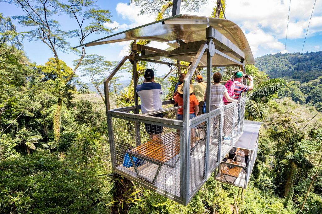 Puerto Limon: Veragua-Regenwald & Tortuguero-Grachtenfahrt