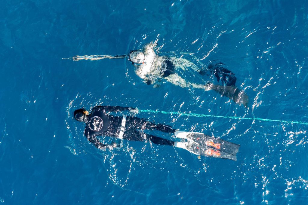 Unterwasserfischen auf Martinique