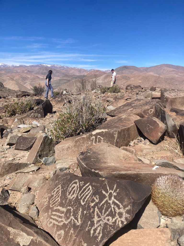La Serena: Punta Colorada – Felszeichnungen und Papageien-Tour