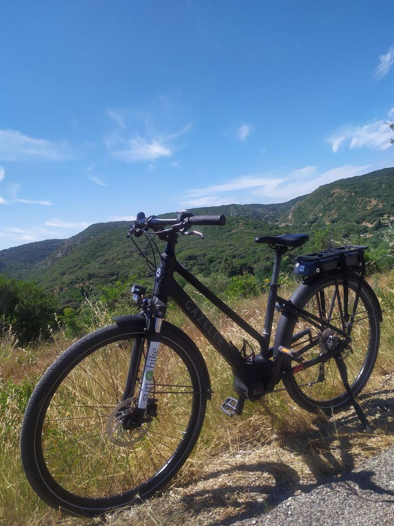 Picknick inmitten von Olivenhainen mit dem E-Bike