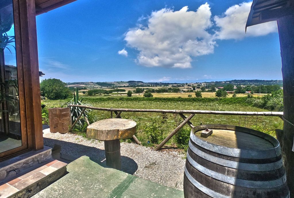 Farm-to-Table Food Experience