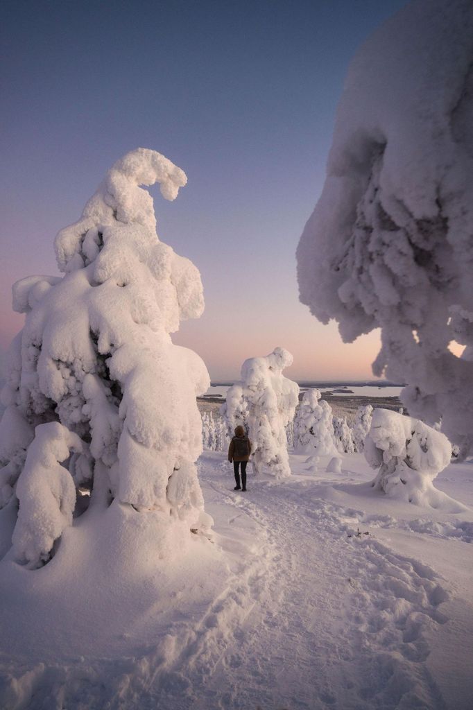 Rovaniemi: Riisitunturi-Schneemonster-Tour & Lagerfeuer-Barbecue