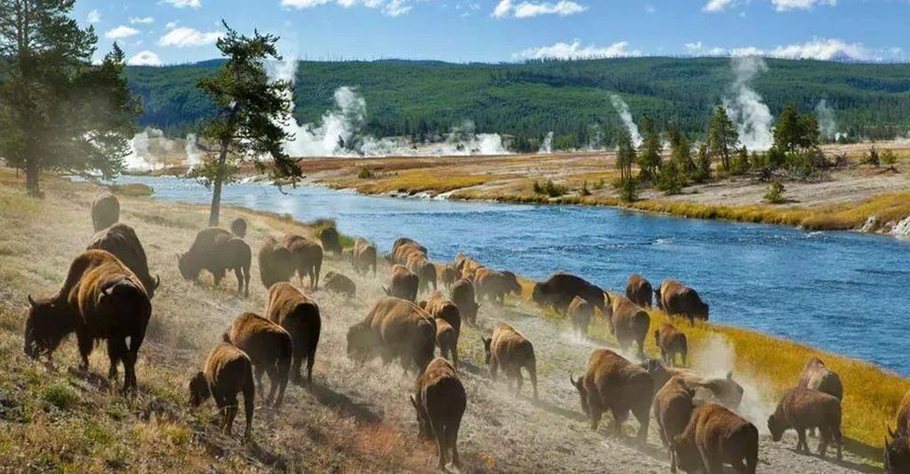 Salt Lake City: Yellowstone & Grand Teton 3-Tage-Tour
