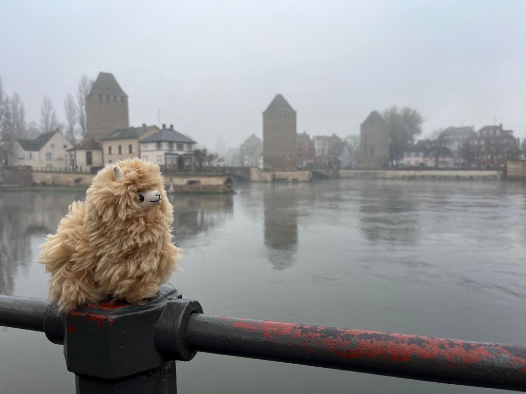 Straßburg: Colmar, Dörfer & Schloss Private Tagestour