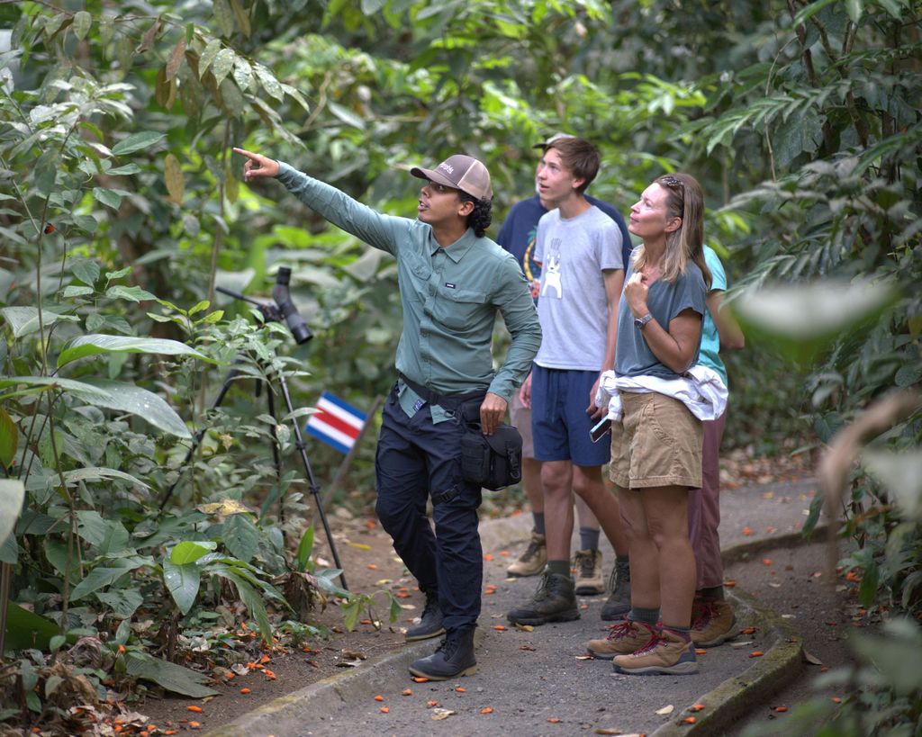 La Fortuna: Spaziergang durch die Natur mit Faultieren und Wildtieren