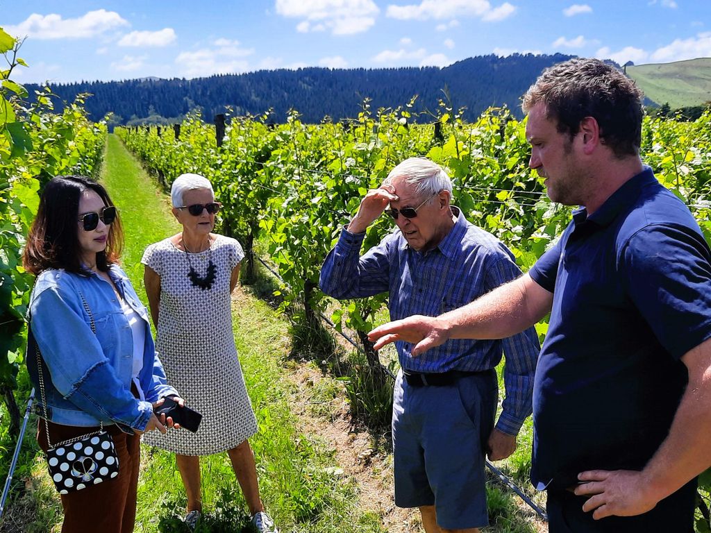 Martinborough Wein- und Foodtour mit Mittagessen ab Wellington