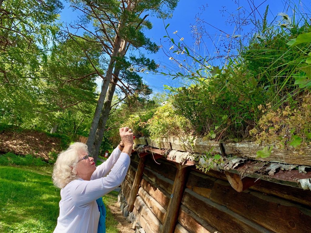 Ålesund: 4-stündige Sightseeing-Tour
