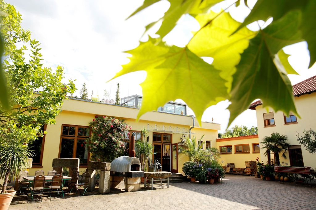 Weinprobe mit Führung im Weingut Mesel in der Pfalz