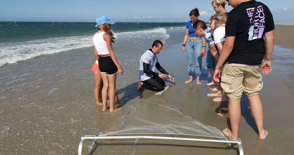 Zeeland Strand safari met visnet NL/DE