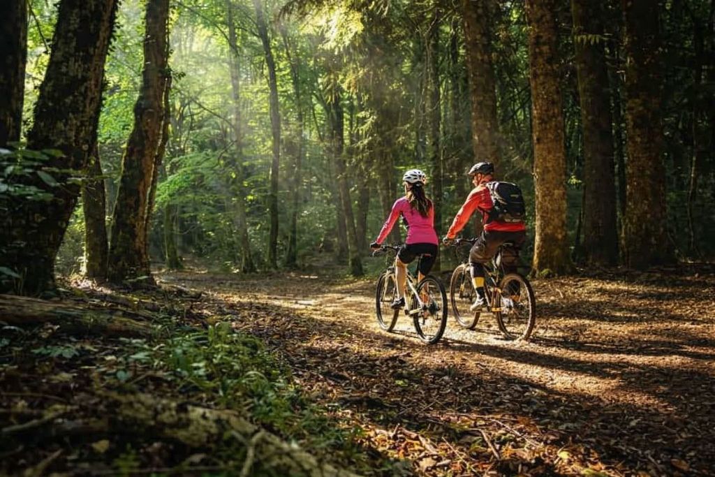 E-Bike-Tour durch den Foresta Umbra, UNESCO-Weltkulturerbe