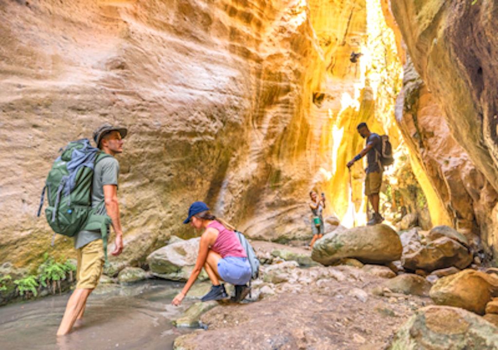 Avakas-Schlucht & Lara-Strand zum Schwimmen: Minibus-Abenteuer ab Paphos