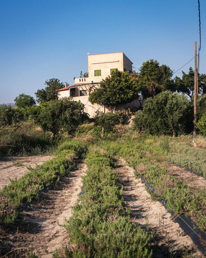Ierapetra: Tour zu einem kretischen Bauernhof und Besuch einer Folklore-Sammlung