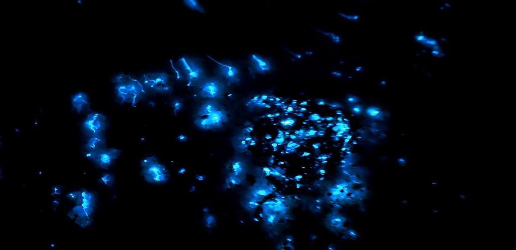 Kota Kinabalu: 5-in-1 Kinabalu-Aussicht, Feuershow, Blaue Träne