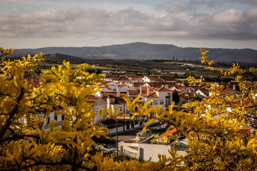 Lissabon: Private Tagestour nach Estremoz und Vila Viçosa