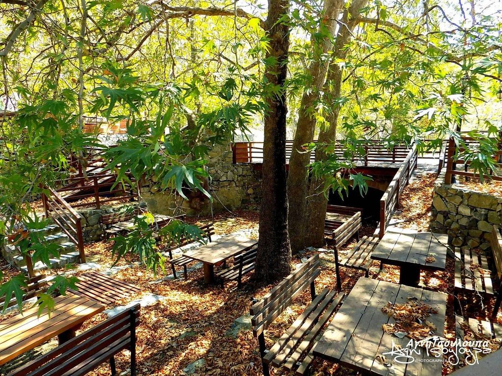 Troodos-Gebirge: Tour zum immateriellen Erbe mit Verkostungen