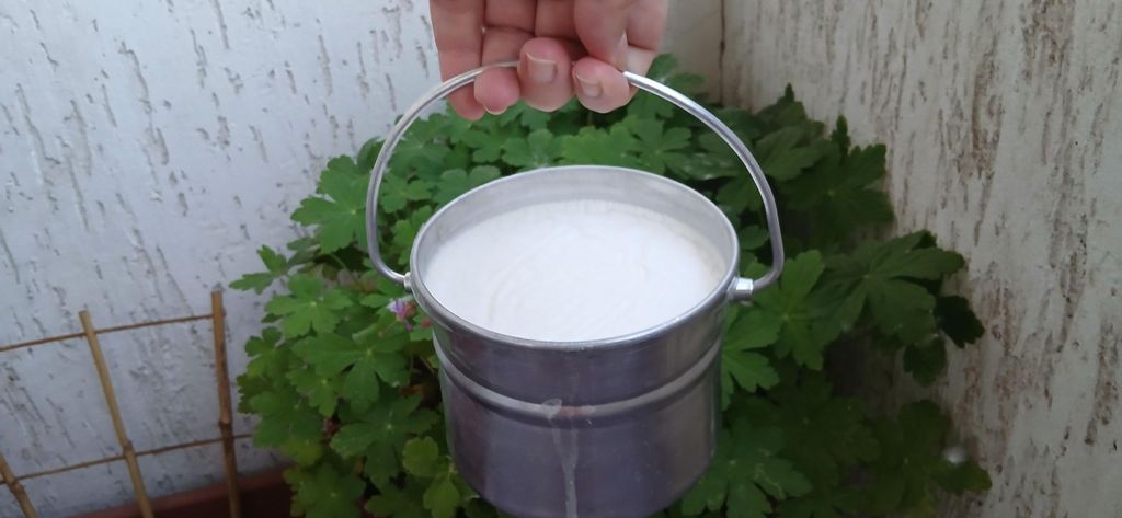 Sofia: Probier bulgarischen Joghurt Kiselo Mlyako in einem Familienhaus