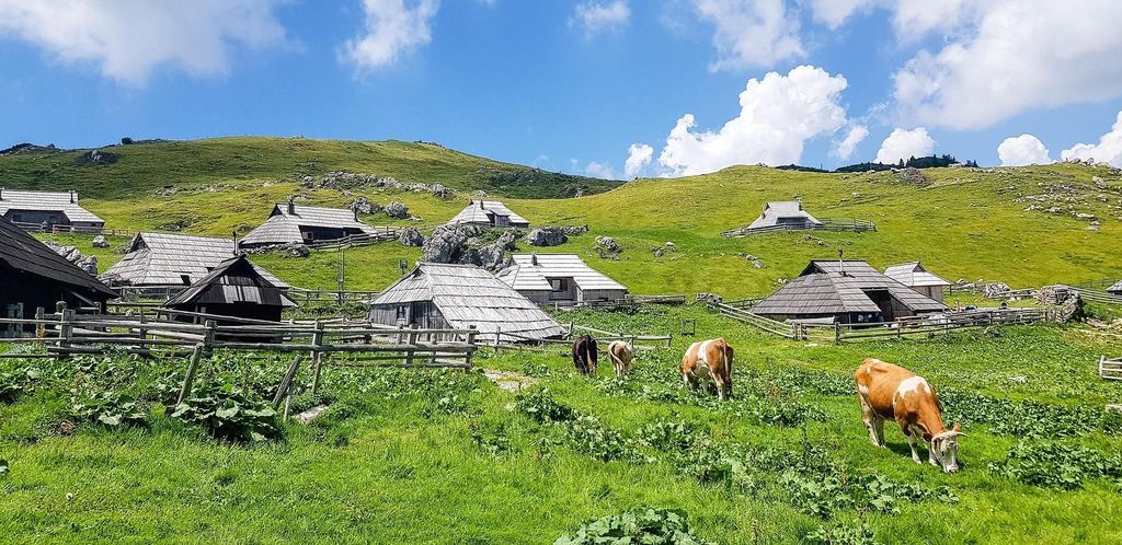 Von Ljubljana: Geführte Wanderung auf die Velika Planina