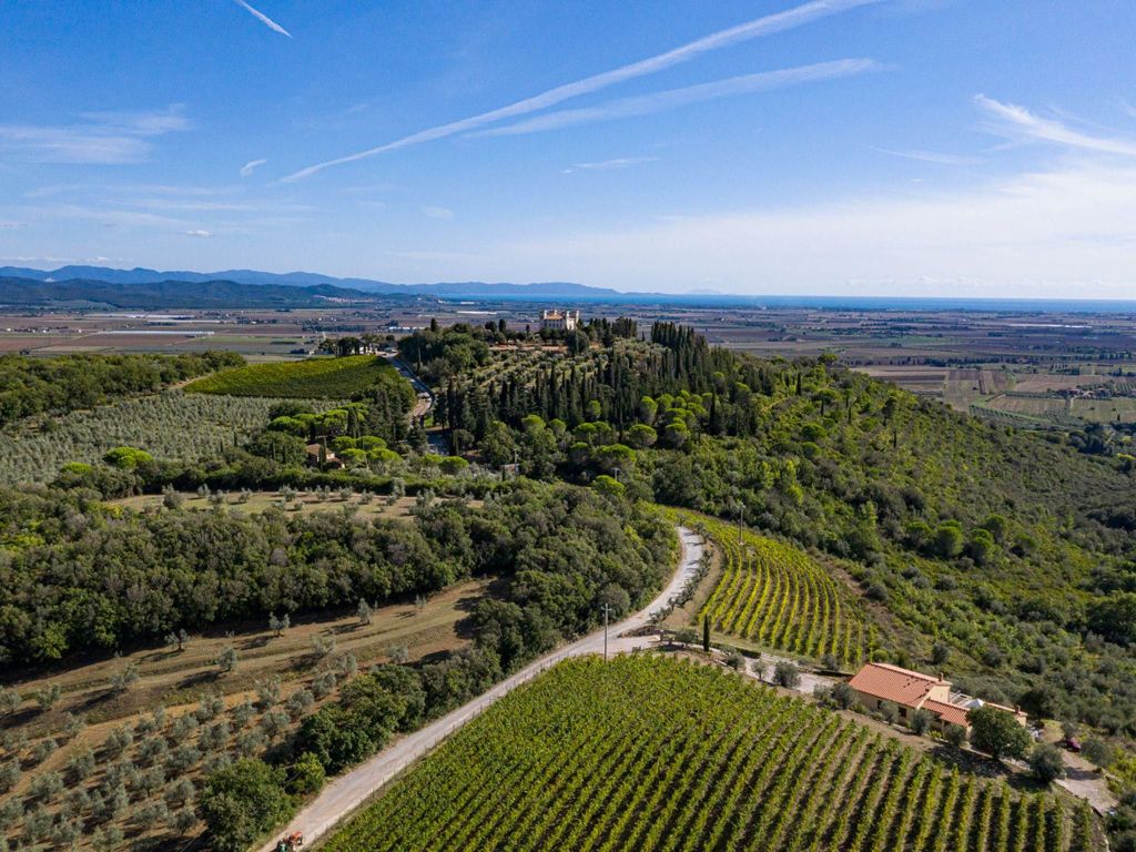 Weinverkostung mit lokalen Speisen in der Nähe von Livorno