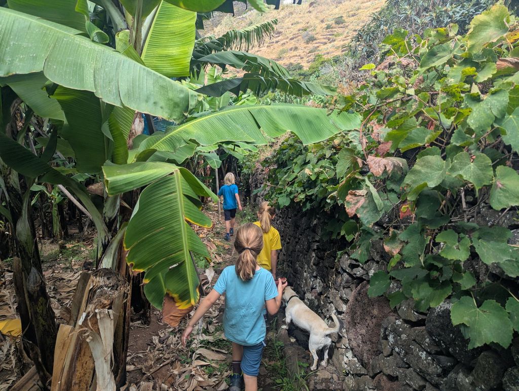 Paul do Mar: Mandala Banana Workshop für Kinder