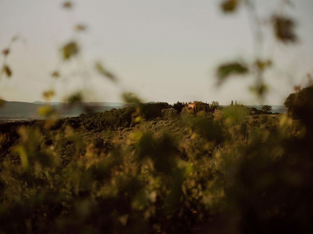 Maremma: Besuch mit Verkostung der Tenuta Sequerciani