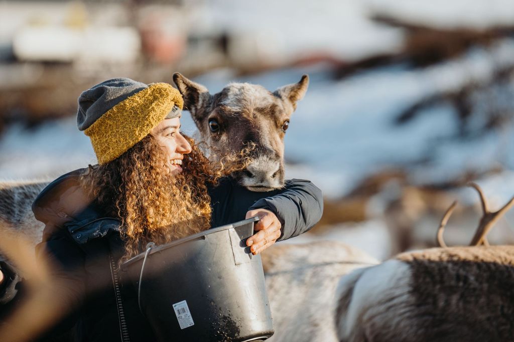Tromsø: Arktische Fjordbesichtigung, Rentierfütterung und Mittagessen