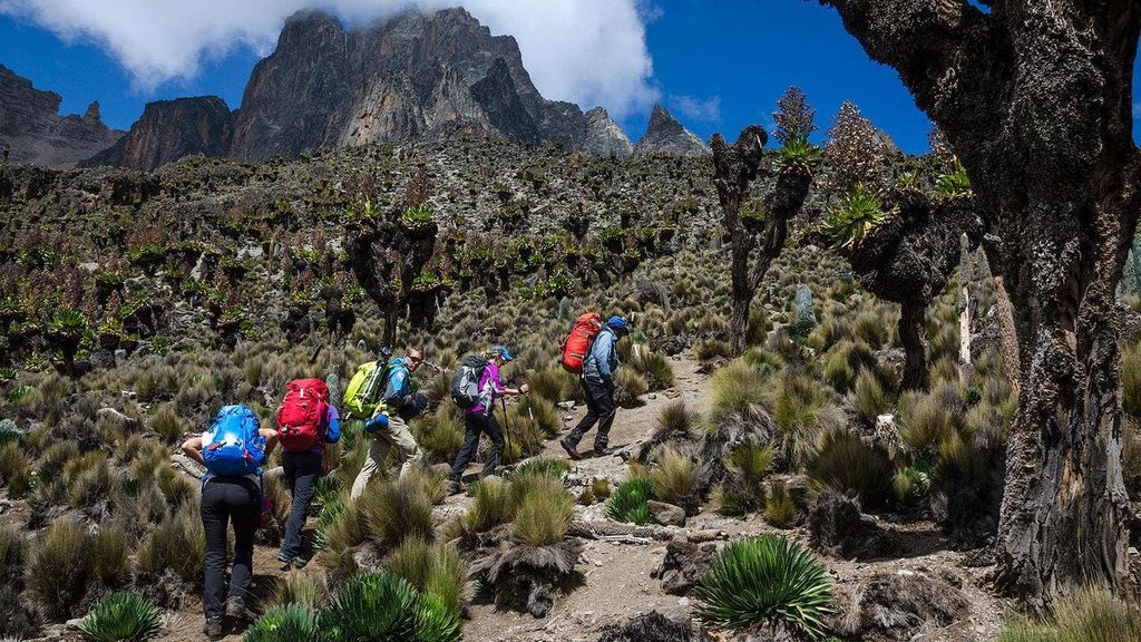 Nanyuki: 4-tägige Mount-Kenya-Wanderung mit Guide & Verpflegung