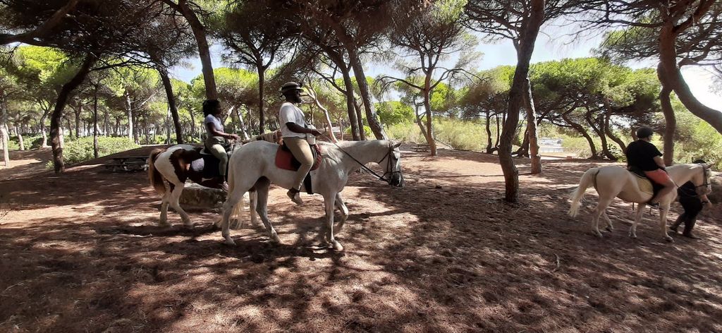 Cádiz Landseite: Reiten auf einem andalusischen Pferd