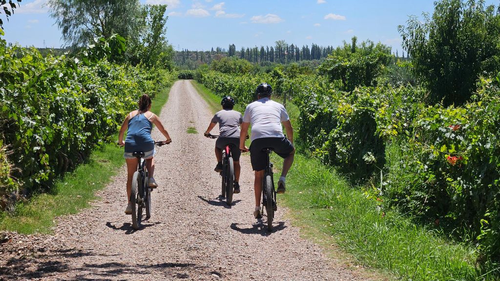 Radtour durch die Weinregionen von Mendoza