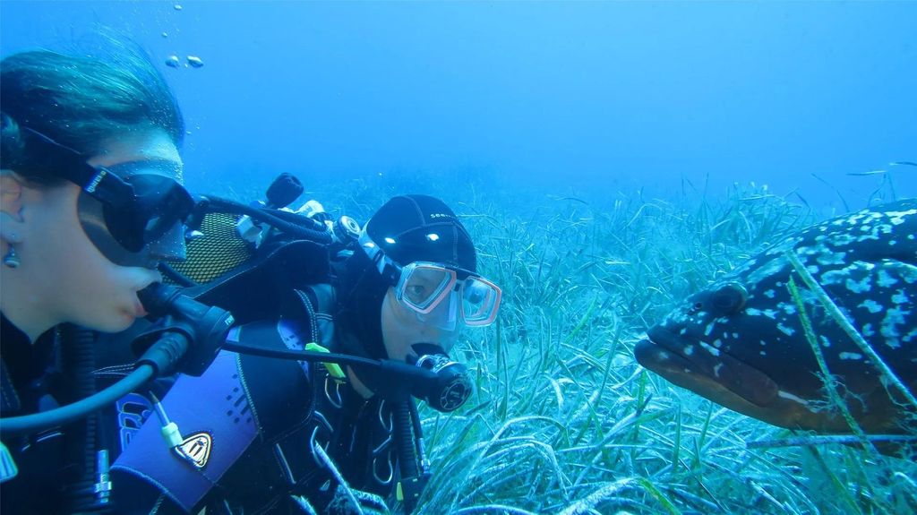 Marina di Campo: Probier das Tauchen auf der Insel Elba aus