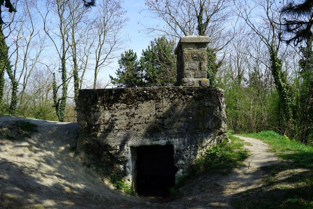 Die Schlacht auf dem Chemin des Dames, Abfahrt von Laon