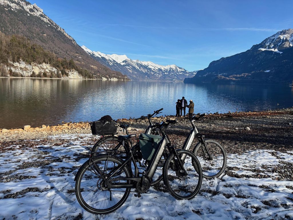 Interlaken Winter-E-Bike-Tour: Flüsse, Seen und Wälder