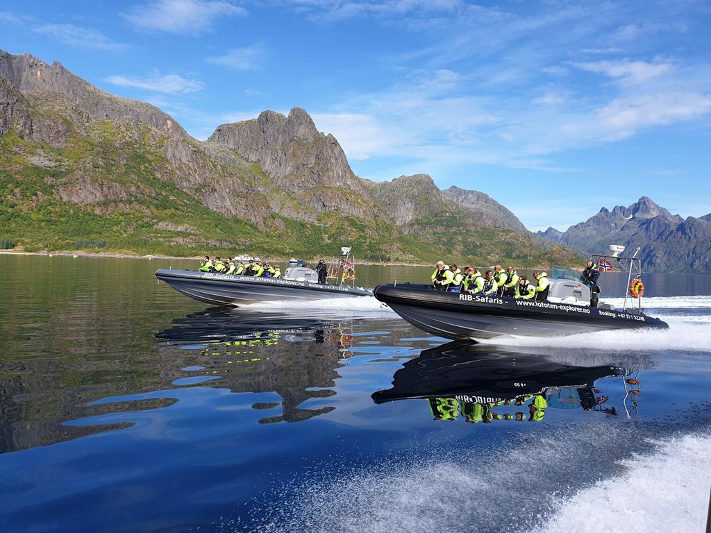 Ab Svolvaer: Trollfjorden Wildlife RIB Cruise