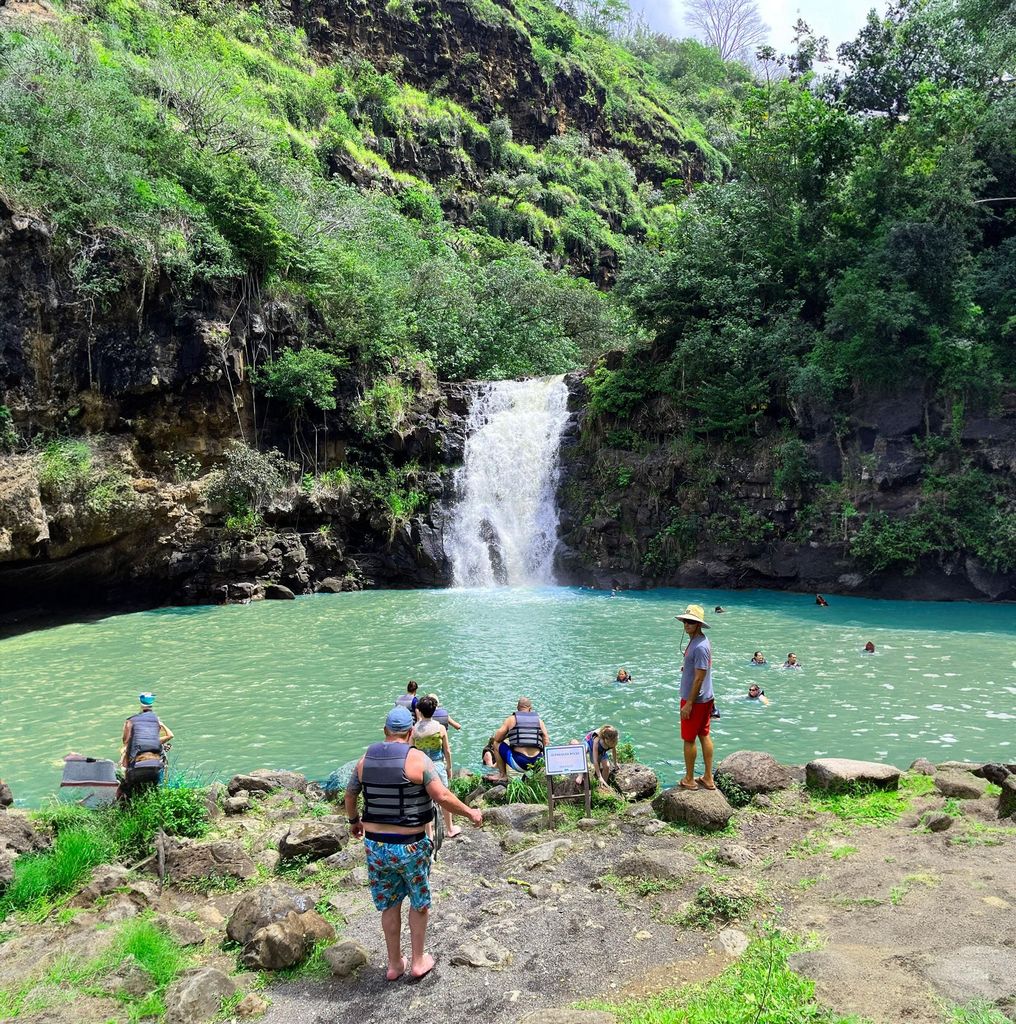 Oahu: Tal der Waimea Falls Schwimmen & Wandern mit Mittagessen & Dole