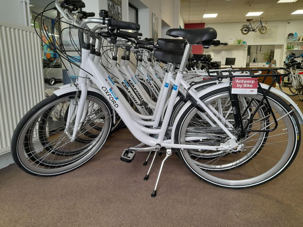 Antwerpen: Ganztägige Fahrradvermietung
