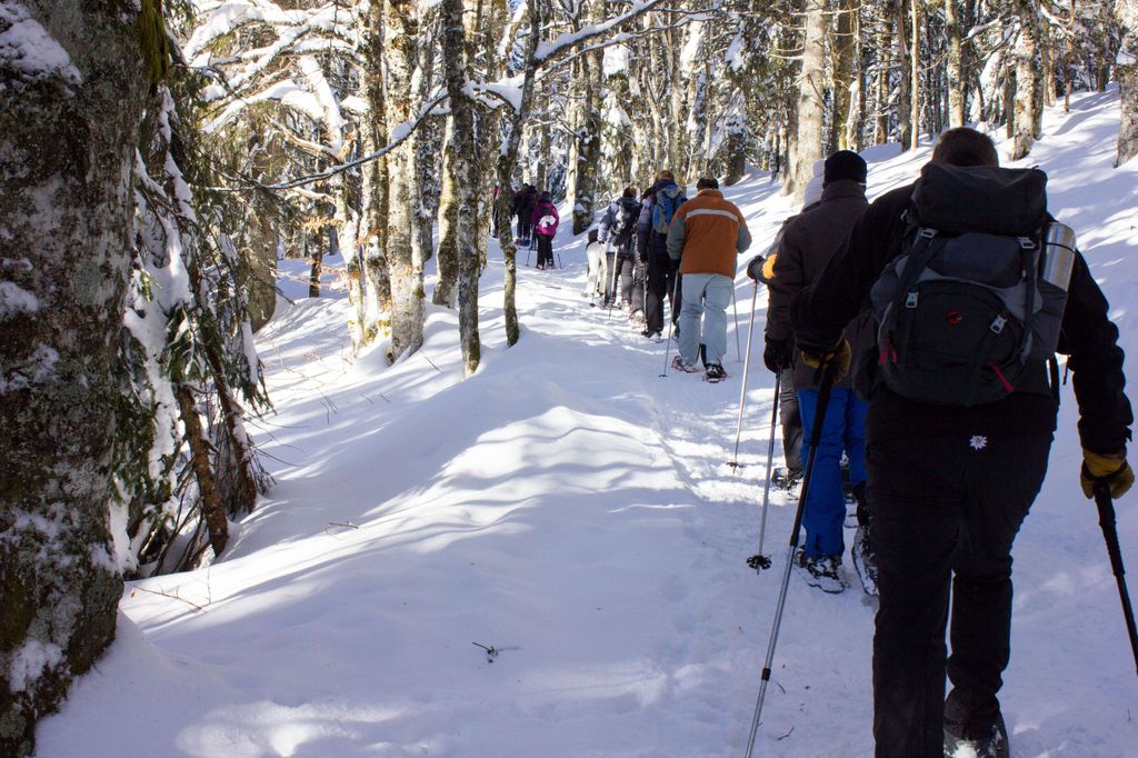 Feldberg: Geführte Schneeschuhwanderung im Schwarzwald