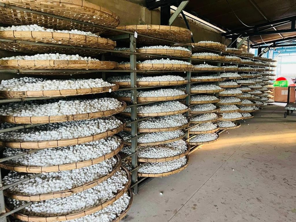 Besuch der Seidenfabrik & Kaffee