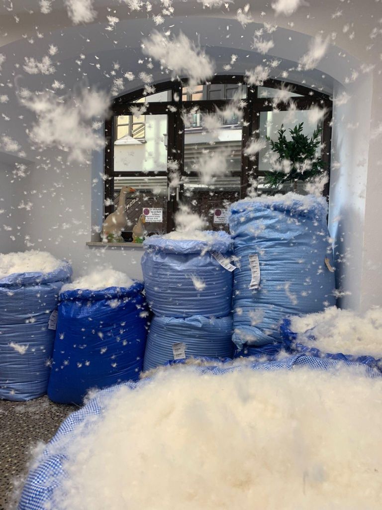 Fülle DEIN eigenes Kissen bei Betten Huber in Augsburg